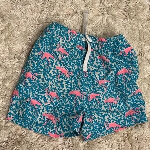 Chubbies Teal and Pink Flamingo Patterned Shorts